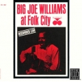 Big Joe Williams - At Folk City